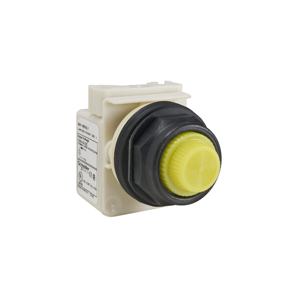 Image of Schneider Electric 9001SKP38LYY31