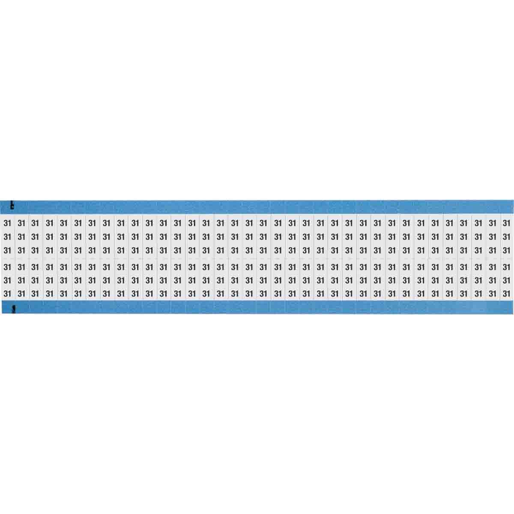 Image of Brady WM-31-SC-PK