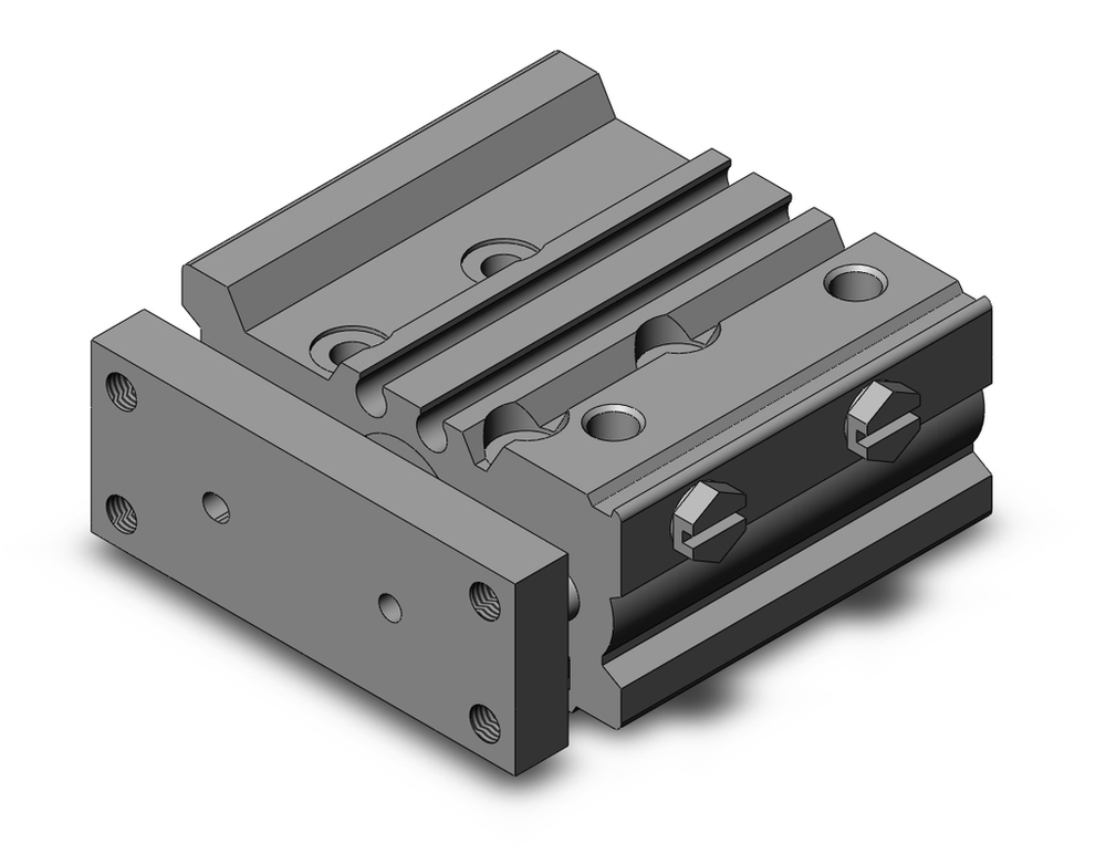 Image of SMC MGPL12-20Z