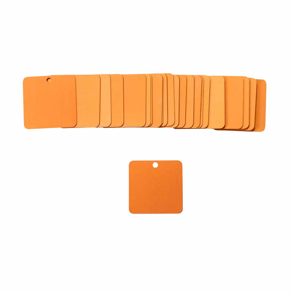 Image of Brady 87636