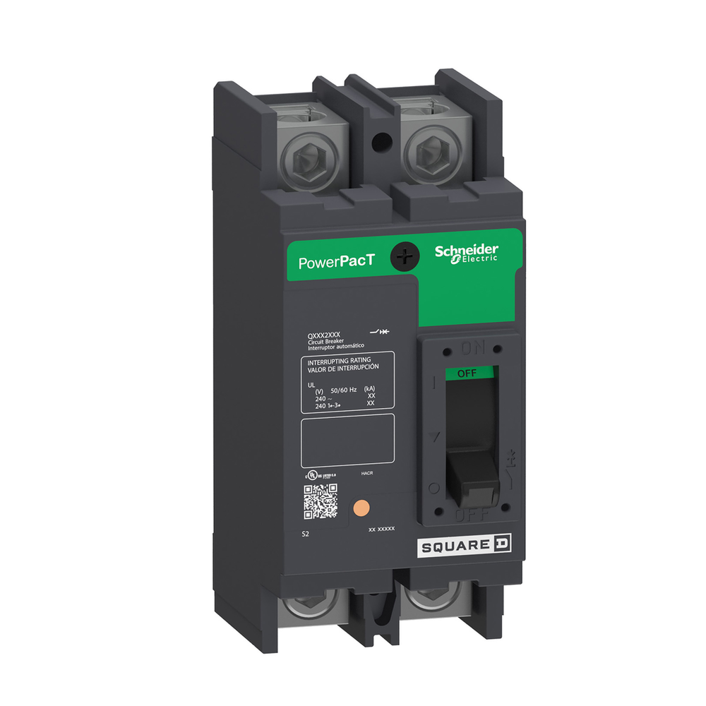 Image of Schneider Electric QDL22100