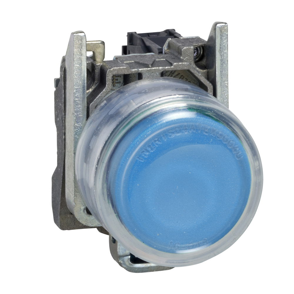 Image of Schneider Electric XB4BP61