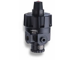 Image of Norgren R24-200-RNSG