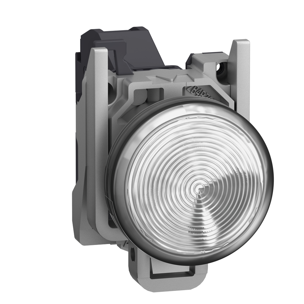 Image of Schneider Electric XB4BVBM1GEX