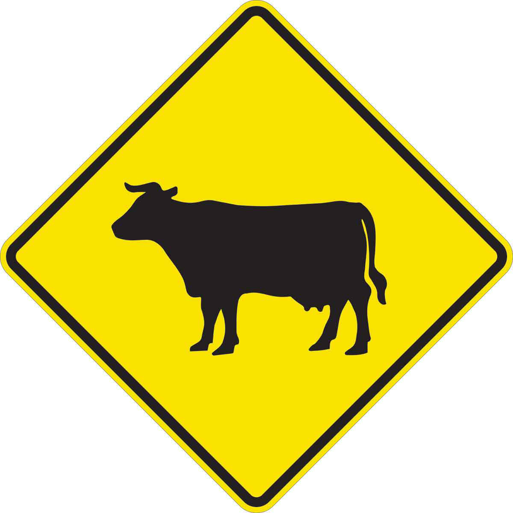 Image of Brady 115650