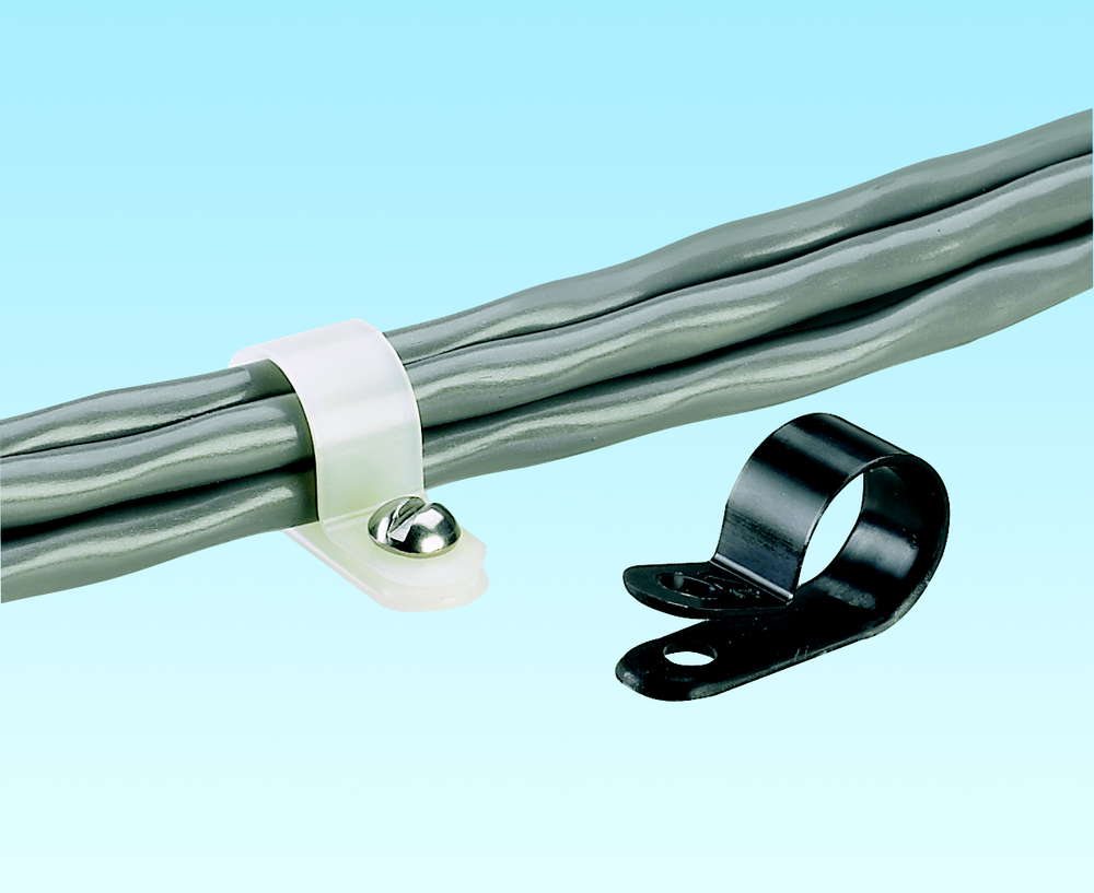 Image of Panduit CCH100-S10-D0