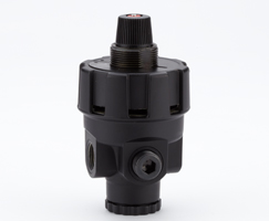Image of Norgren R24-200-RNLG