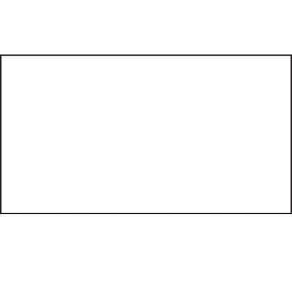 Image of Panduit PPS1014BWHT