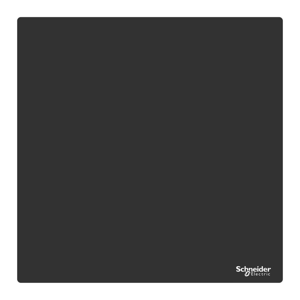 Image of Schneider Electric ZBYLEG303000