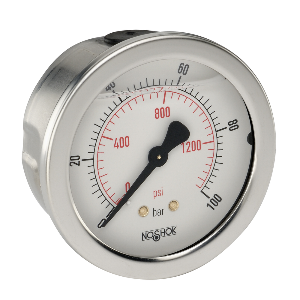 Image of NOSHOK 25-911-100-bar/psi-G1/4