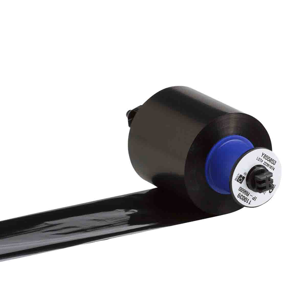 Image of Brady IP-R6600