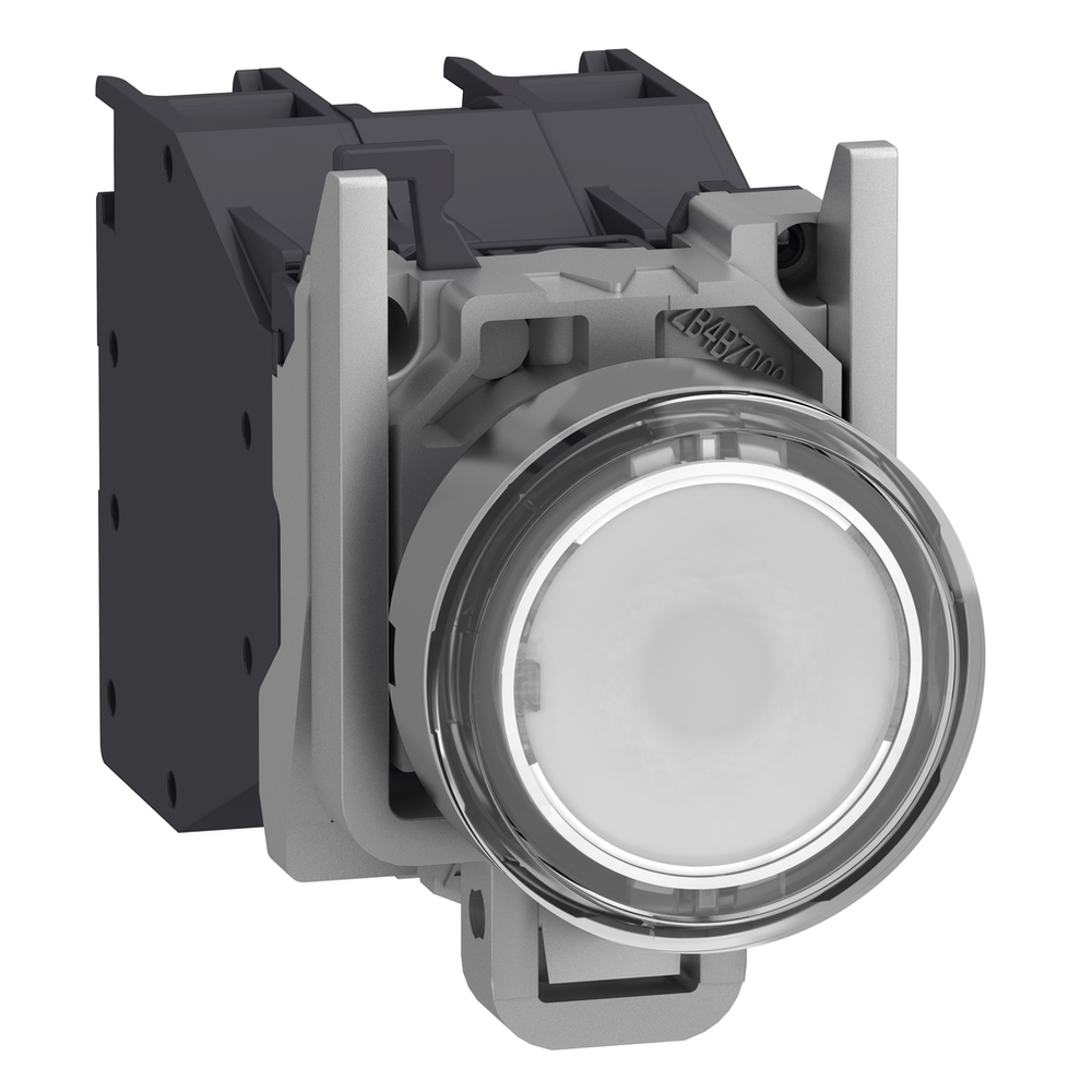 Image of Schneider Electric XB4BP183BM5GEX