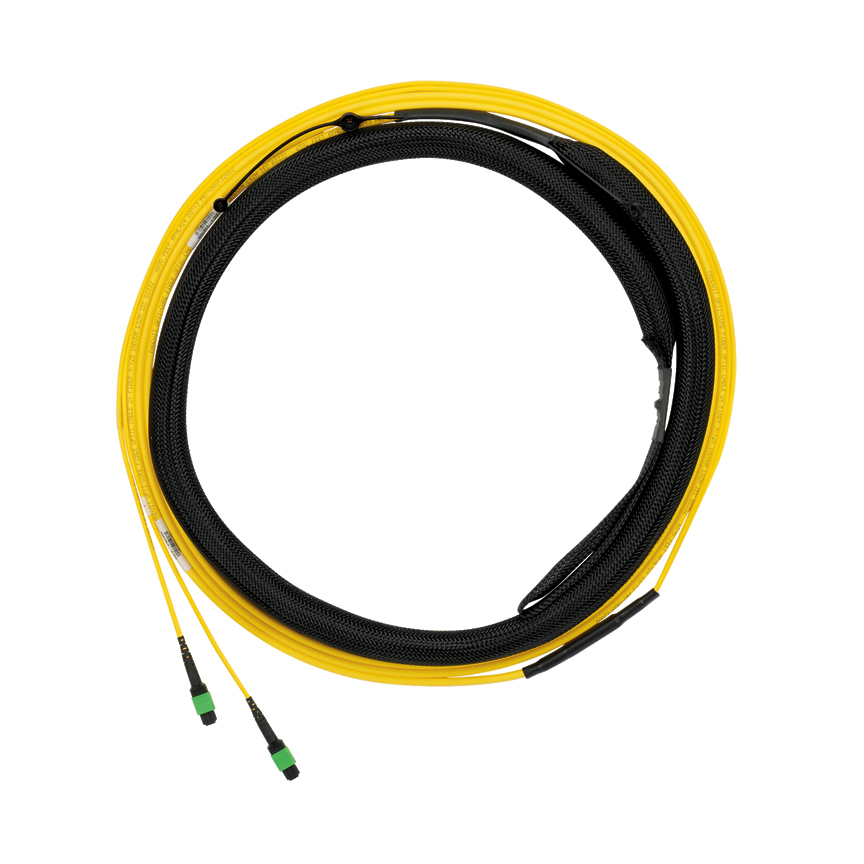 Image of Panduit F9TYL5EL2SAM100
