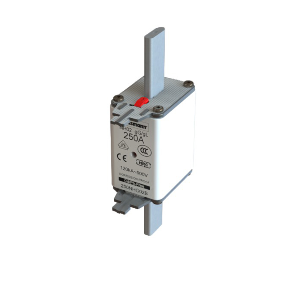 Image of Bussmann 160NHG02B
