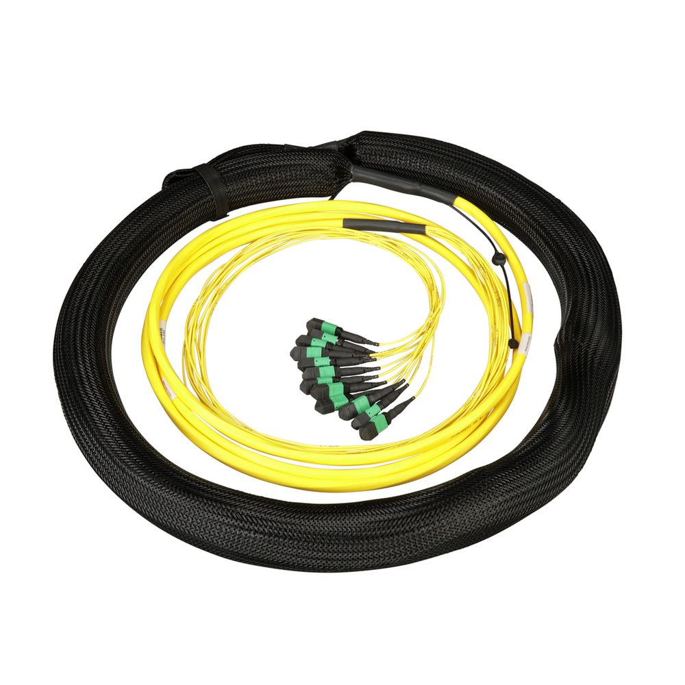 Image of Panduit F8NNM5E5EAAM030