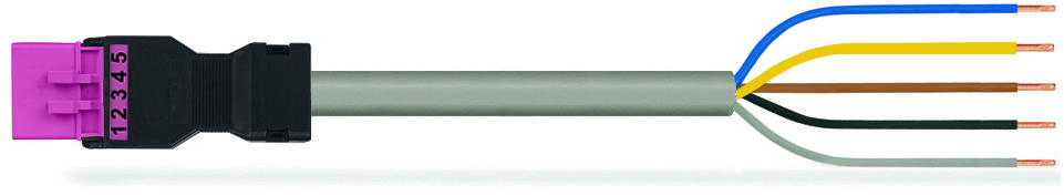 Image of WAGO 891-8995/206-607