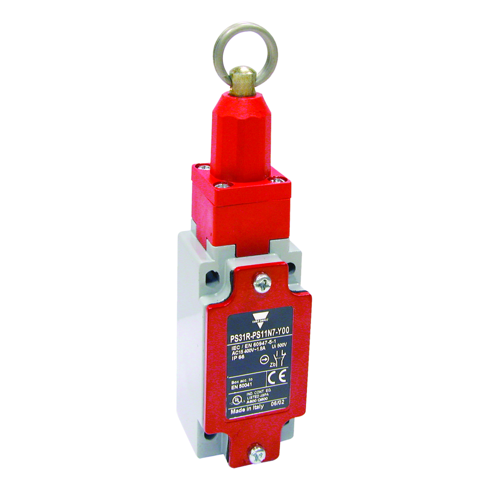 Image of Carlo Gavazzi PS21R-PT02N7-YK0