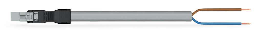 Image of WAGO 891-8992/206-503