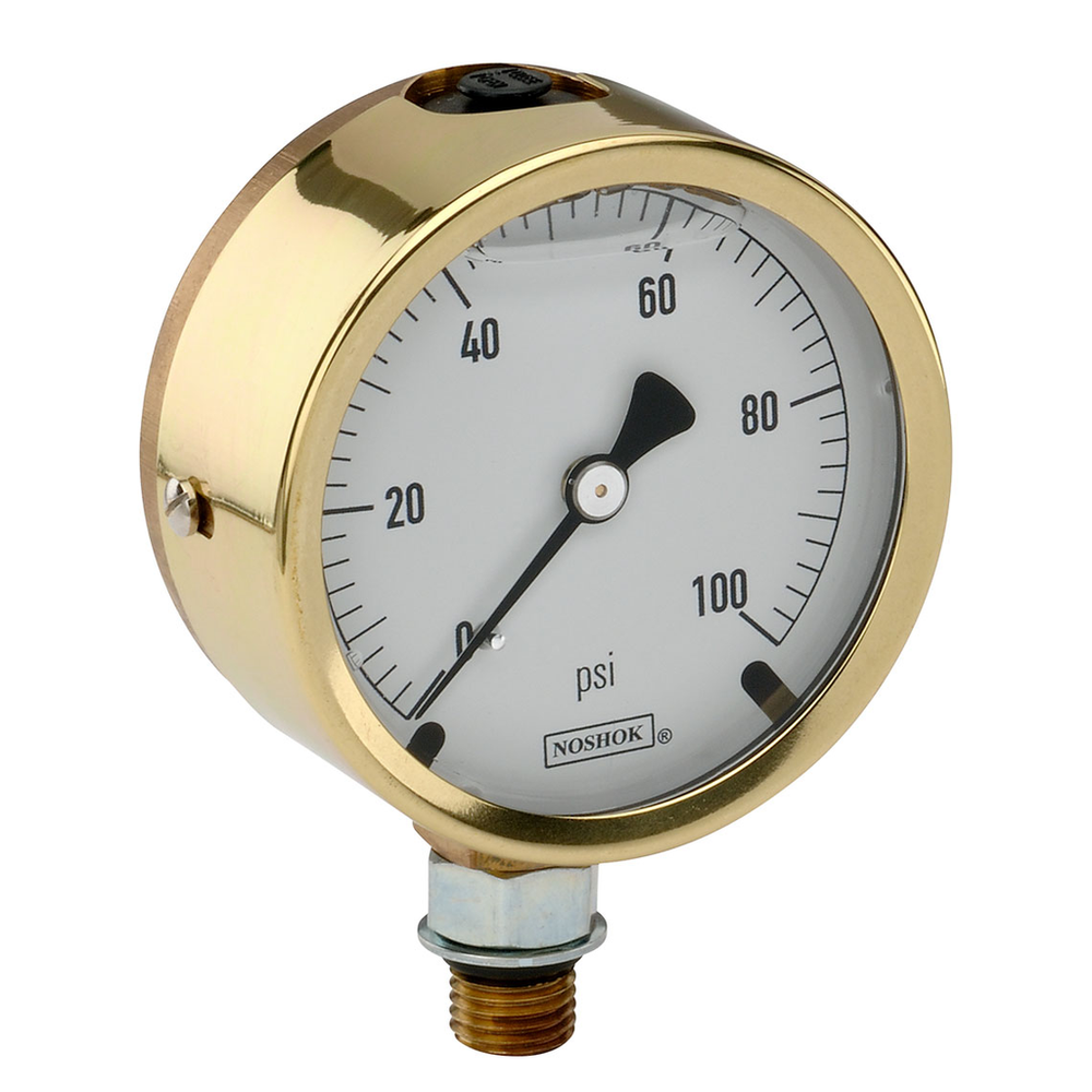 Image of NOSHOK 25-300-SST-600-psi/kg/cm2