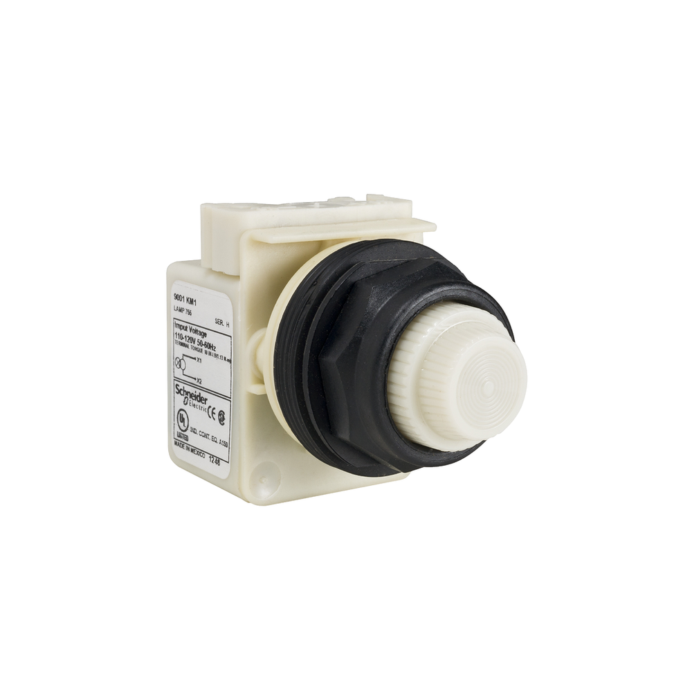 Image of Schneider Electric 9001SKT38LWW9
