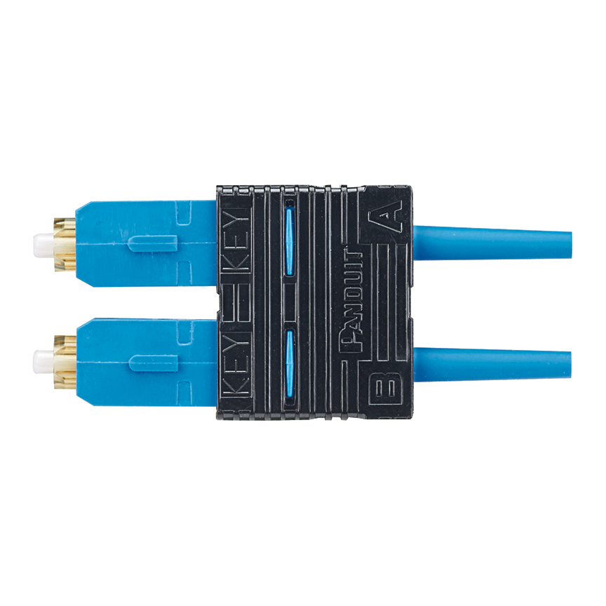 Image of Panduit FSC2DSCBU