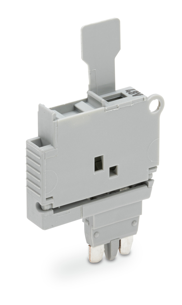 Image of WAGO 2004-911/1000-542