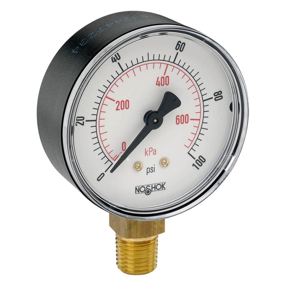 Image of NOSHOK 25-100-100-psi/kg/cm2