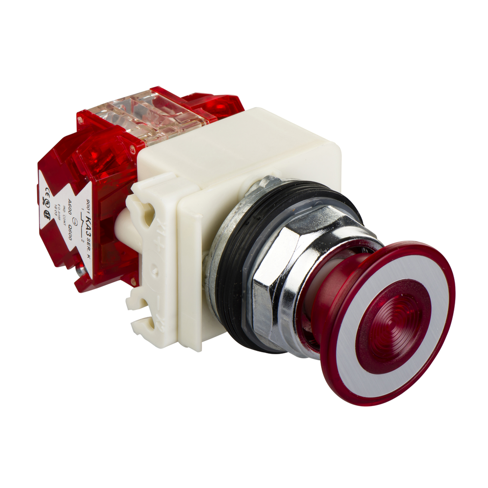 Image of Schneider Electric 9001KR9P38RH25