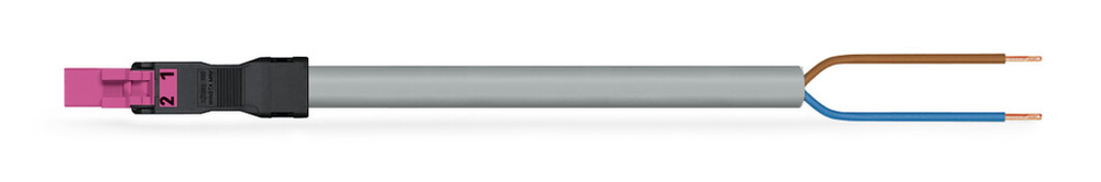 Image of WAGO 891-8992/205-607