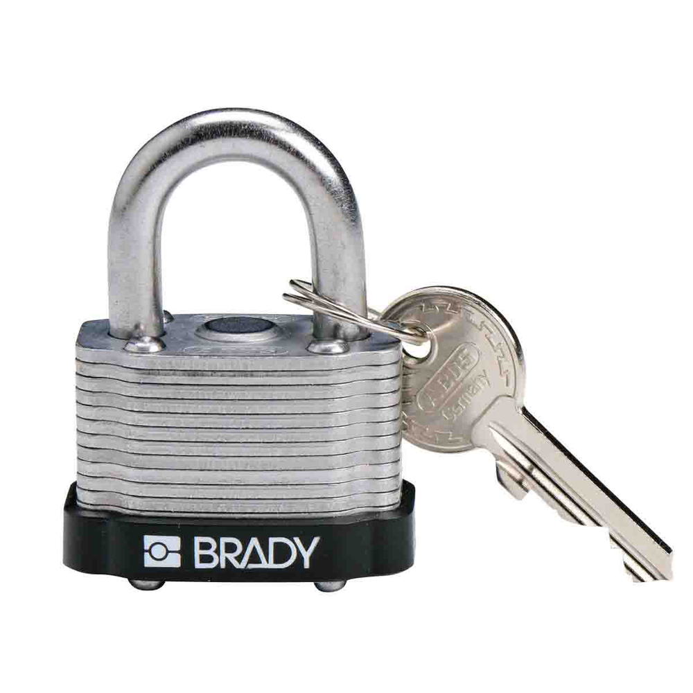 Image of Brady 143136