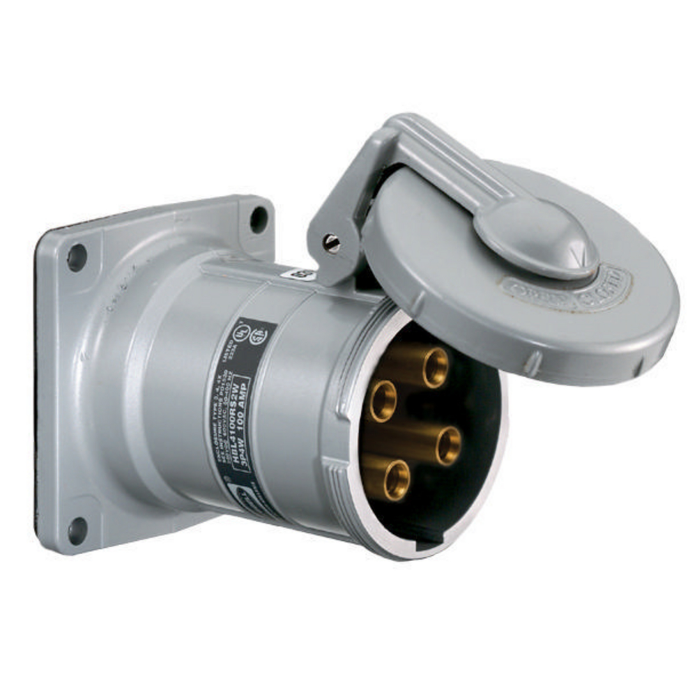 Image of Hubbell Wiring Device-Kellems HBL3100RS2WR