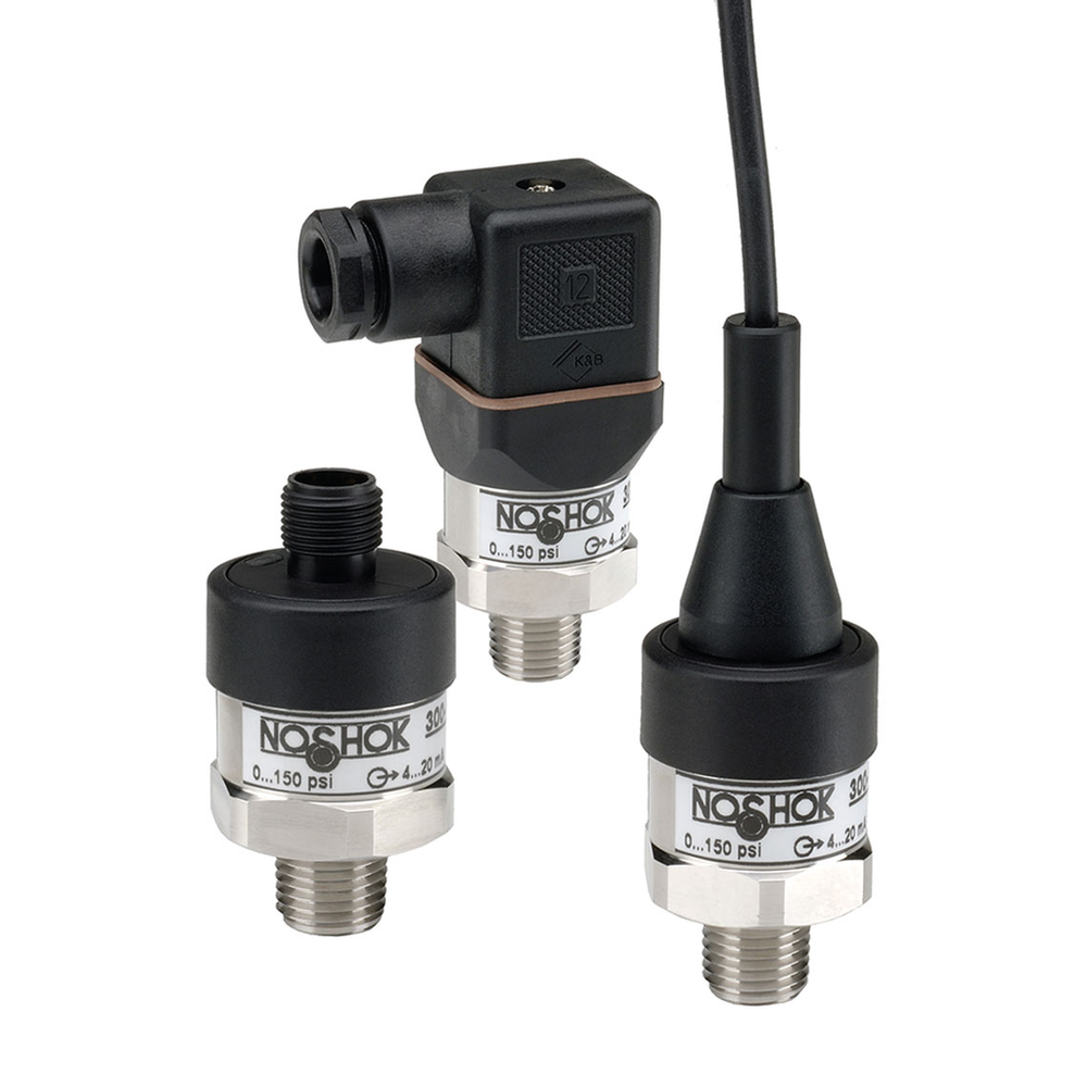 Image of NOSHOK 300-3000-1-1-2-8
