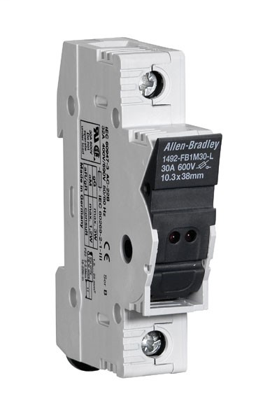 Image of Allen-Bradley 1492-FB1M30-D1