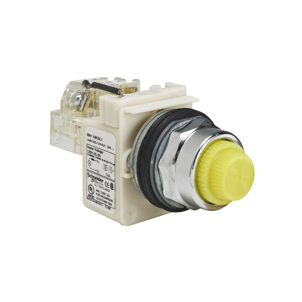 Image of Schneider Electric 9001KT38LYY31