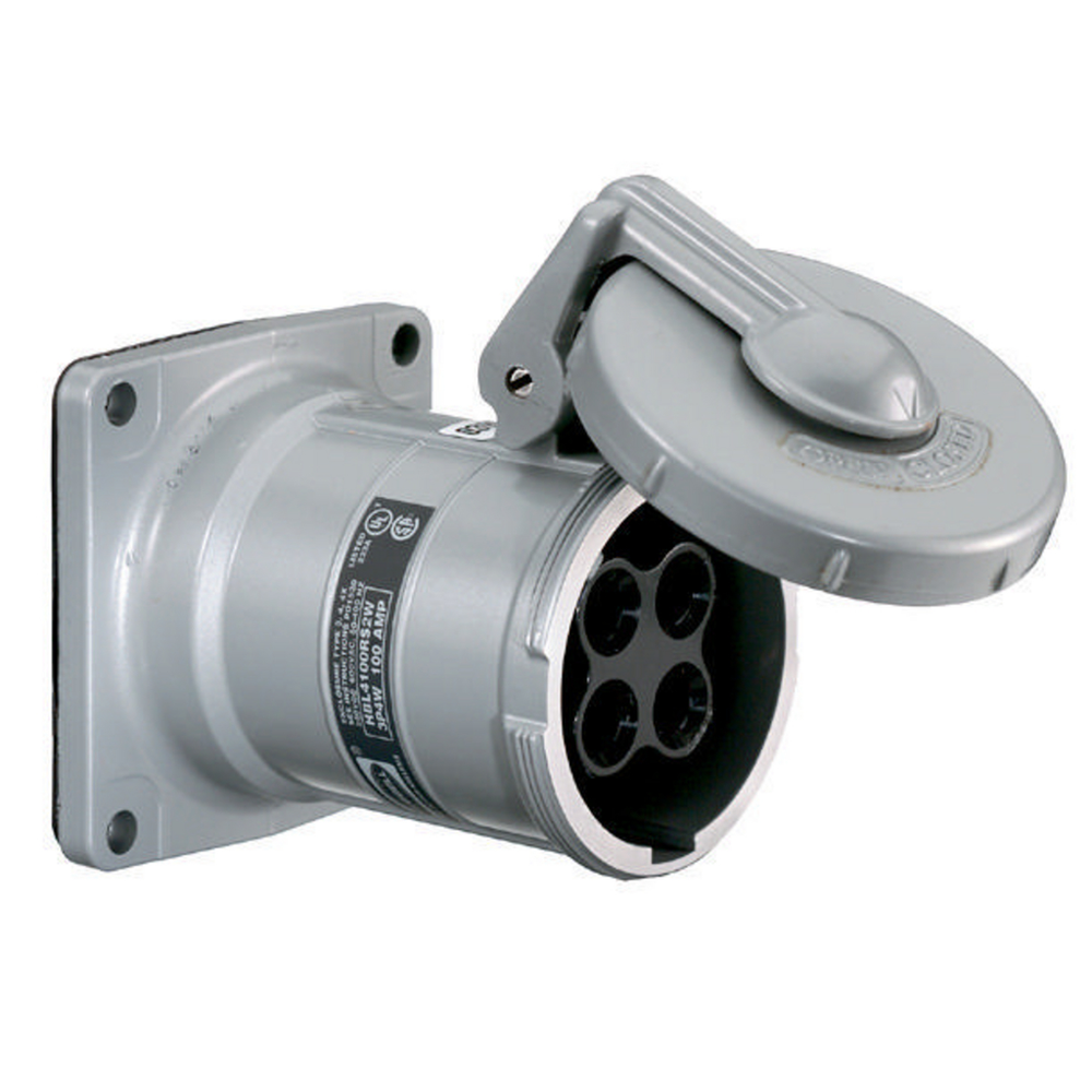 Image of Hubbell Wiring Device-Kellems HBL3100RS1W