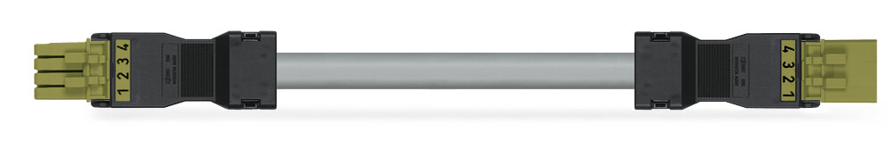 Image of WAGO 891-8994/006-305