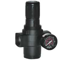 Image of Norgren R17-800-RGLA