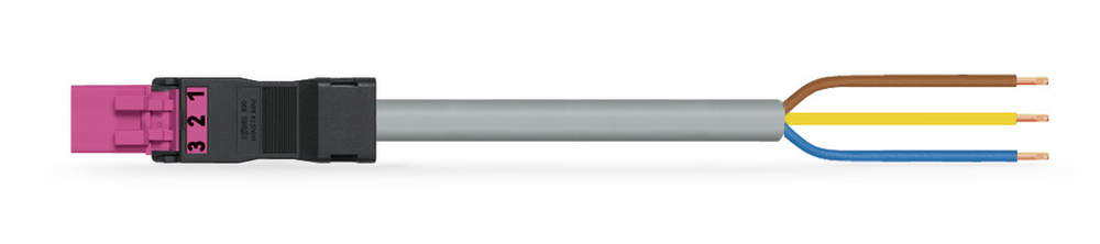 Image of WAGO 891-8993/205-307