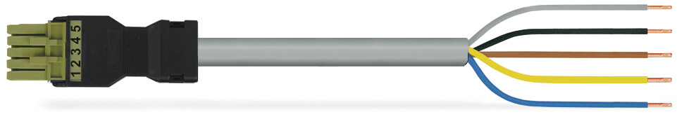 Image of WAGO 891-8995/105-605
