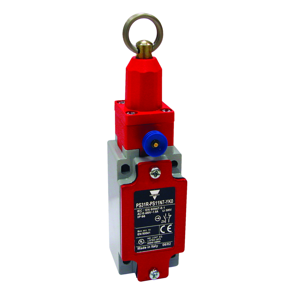 Image of Carlo Gavazzi PS31R-PT03N7-YK0