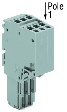 Image of WAGO 2020-213