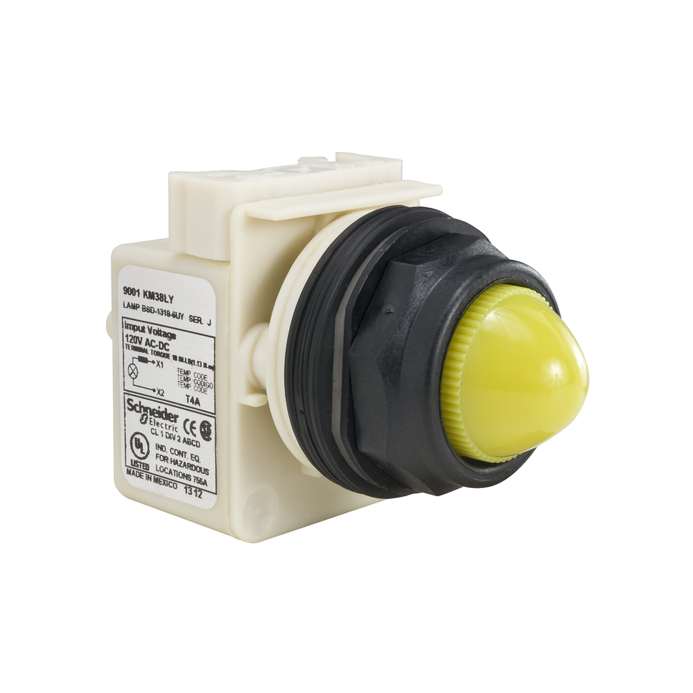 Image of Schneider Electric 9001SKP38LYY9