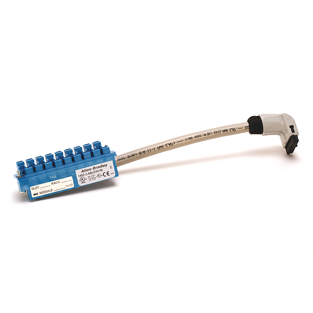 Image of Allen-Bradley 1492-CABLE250RTBO