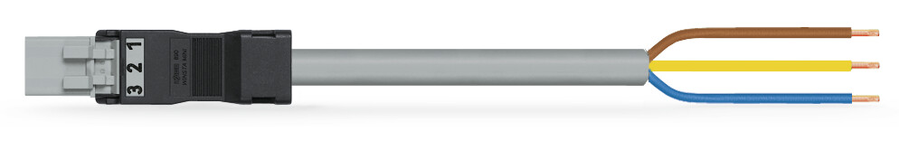 Image of WAGO 891-8993/206-803