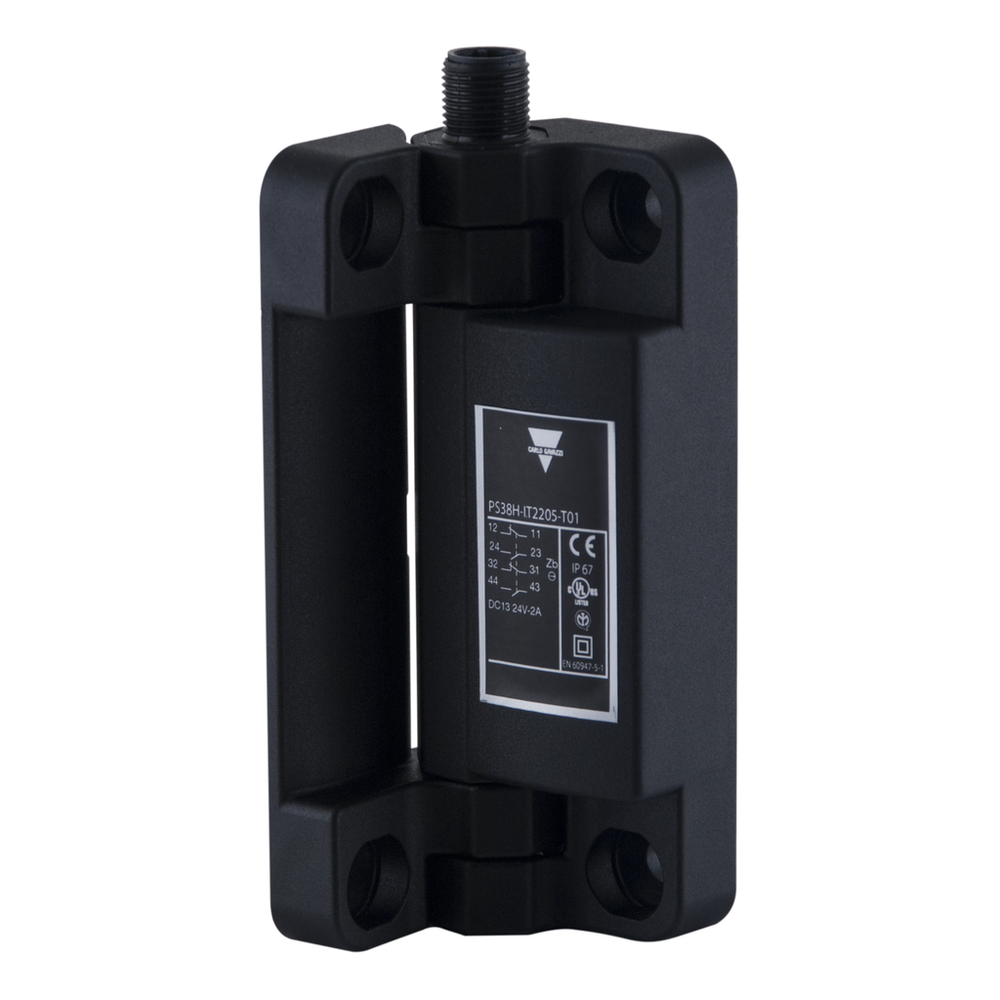 Image of Carlo Gavazzi PS38H-IT1305-T01