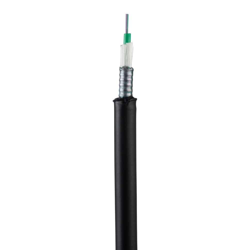 Image of Panduit FQSNZ12