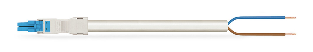 Image of WAGO 891-8982/106-402