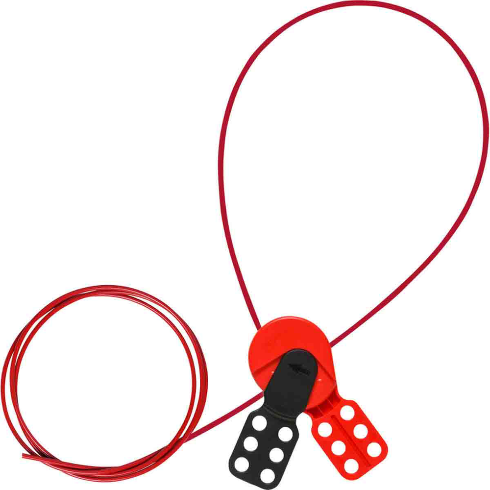 Image of Brady 145550