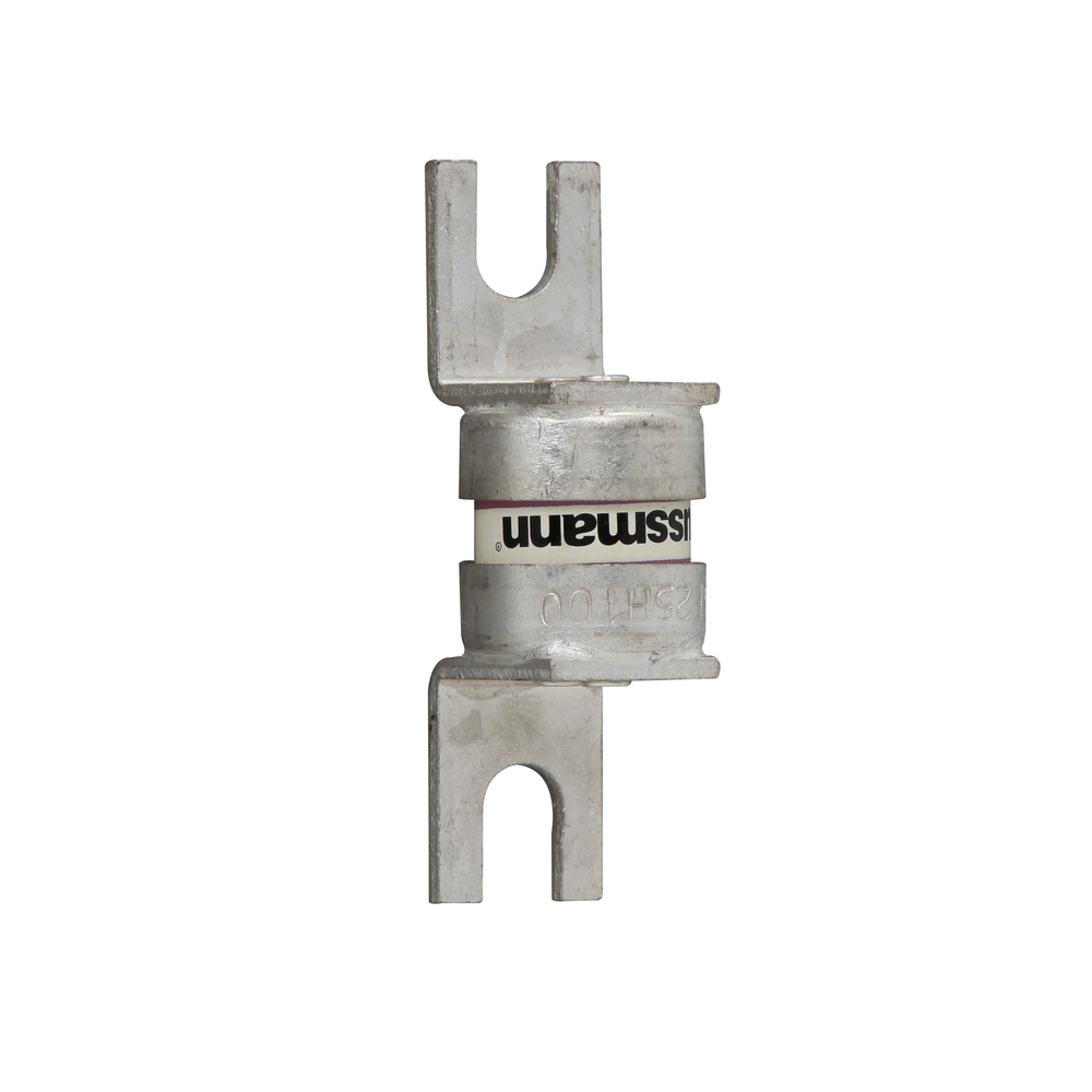 Image of Bussmann SF25H100