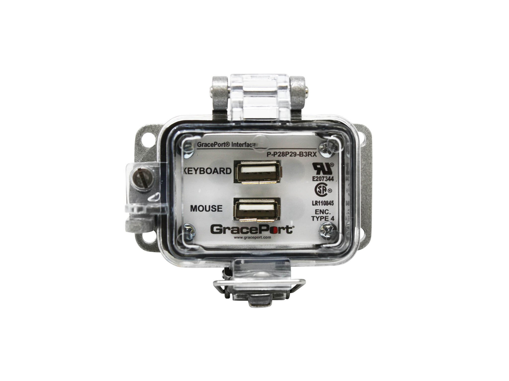 Image of Grace Ports P-P28P29-B3RX